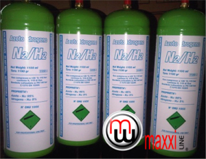 maxxiline N2H2 bottles